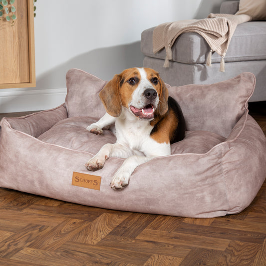 Extra Large Pet Box Bed