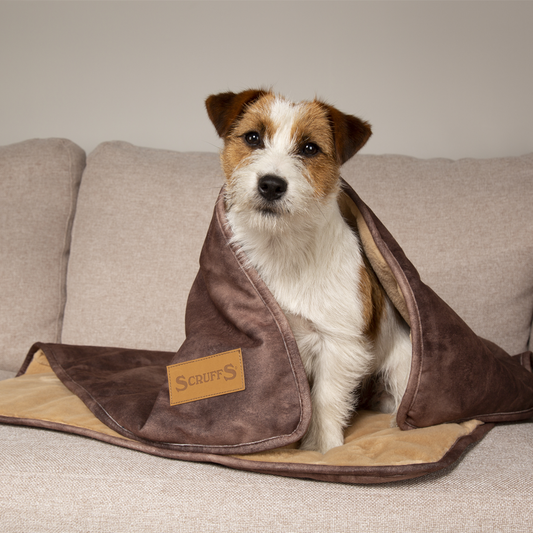 Kensington Collection Dog Blanket