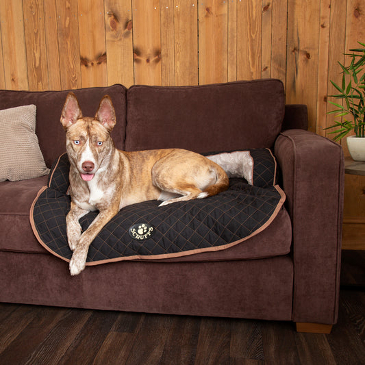 Wilton Collection Dog Bed